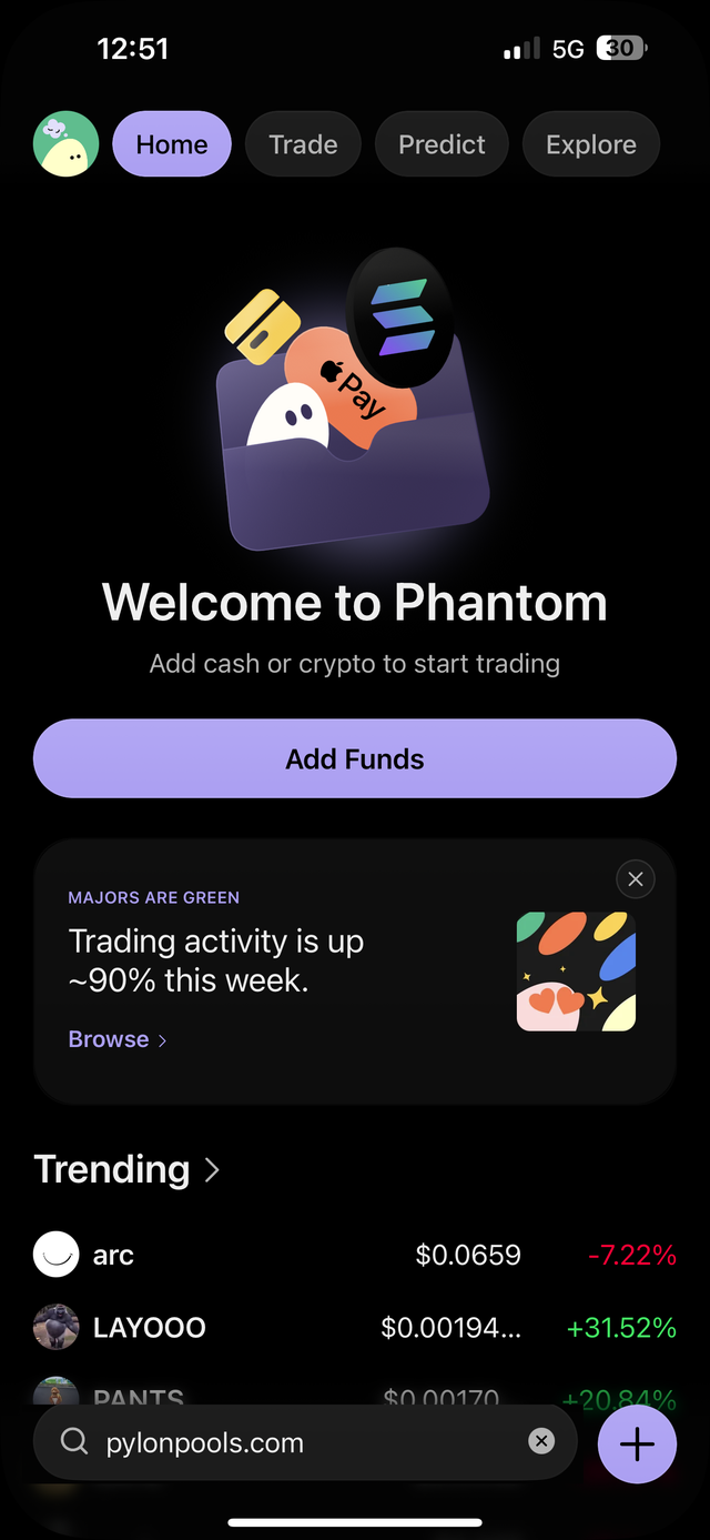 Phantom's home screen with pylonpools.com typed into the search bar at the bottom
